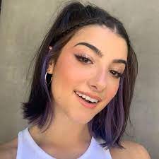 Charli is currently the queen of the platform with the most followers on the app. The Coolest Braided Hairstyles To Try This Season In 2021 Hair Color Underneath Aesthetic Hair Hair Streaks