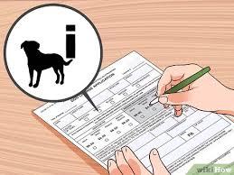 How to get a kennel license. How To Get A Dog License In Pennsylvania With Pictures Wikihow