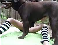 Une jolie fermière fornique avec tous les animaux de la. Il Baise Son Chien Zoophilie Video Porno Extreme Luxuretv