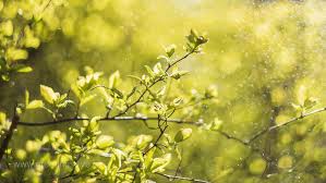 But, we do not let you live a love life without romance. Greetings Live Free Daily Greetings Pictures Festival Gif Images Good Morning Flower Gif Animated Images
