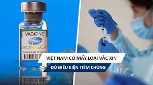 Các loại vắc xin được tiêm phải đáp ứng hai yêu cầu là được who cấp phép sử dụng khẩn cấp và được việt nam cấp phép sử dụng. Cac Loáº¡i Váº¯c Xin Covid 19 Táº¡i Viá»‡t Nam Cáº§n Pháº£i Náº¯m TrÆ°á»›c Khi Tiem