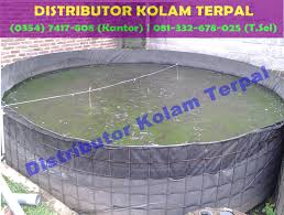 Budidaya Ikan Lele Organik Di Kota Kediri Jual Kolam Terpal Kotak Jual Kolam Terpal Bulat Jual Kolam Terpal Bundar Jual Kolam Terpal Murah Jual Kolam Terpal Siap Pakai Kolam Terpal Portable
