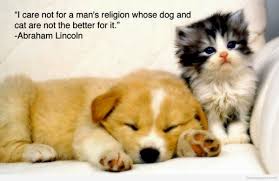 / strike while the iron is hot. Animal Quotes Wallpapers Top Free Animal Quotes Backgrounds Wallpaperaccess