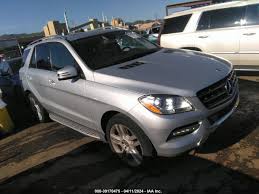 Image result for Iridium Silver 2015 ML