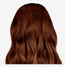 You might be worried to try out a shorter style of curly hair because of the volume it might create or the out of control frizz. Wavy Backie Light Brown Hair Colours 2019 Png Image With Transparent Background Toppng
