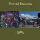 Animal Instincts and GPS event image