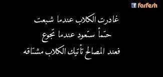 image result for حكم عن اصحاب المصلحة quotes arabic words words