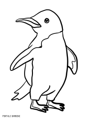 Disegni Di Pinguini Da Stampare E Colorare Disegni Disegni Da Colorare Colori