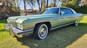 Image result for Garganey Teal 1973 Cadillac