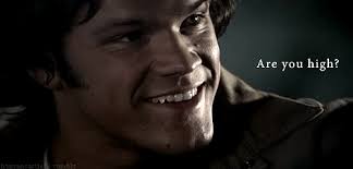 We did not find results for: Are You High Gifs Tenor