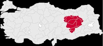 Olumsuz tepkiler yazıda geçen 'kürtler/zazalar' terimine yönelikti. Zaza