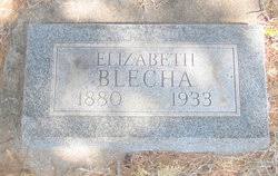 Margaret Elizabeth “Elizabeth” Strawn Blecha (1880-1933)