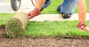 The time you put in now will make a difference. Average Cost Of Laying Garden Turf