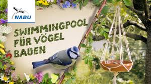 Holen sie sich leben in ihren garten. Video Tipps Vogeltranke Selbst Bauen Nabu