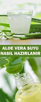 Aloe Vera Suyu Nasil Hazirlanir Pratik Bilgiler Aloe Saglik Ve Fitness Saglikli Yasam Tarzi