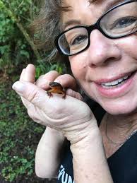 Board Members — Friends of Silver Falls