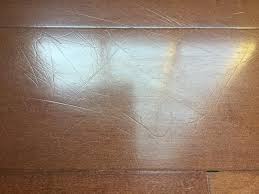 Maybe you would like to learn more about one of these? Dog Scratching Wood Floor Off 63 Www Usushimd Com