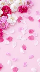 Nature Wallpaper Iphone Flower Background Wallpaper Floral Wallpaper Flower Wallpaper