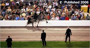 Tennessee walker, tennessee walking horse, plantation walking horse. Horse Show Ends In Uproar Over U S D A Inspections The New York Times