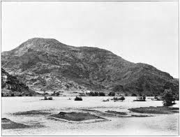 Image result for Dichilus bainesii