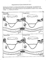 Biogeochemical Cycles Notebook Insert Lecture Aid Ap Environmental Science Teaching Biology Biology Lessons