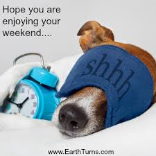 Lol Weekends Are For Beauty Sleep Earthturns Com Sleeping Dogs How To Fall Asleep How To Wake Up Early
