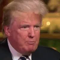 Trump donald group GIF