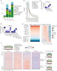 ∗ p < 0.05, ∗∗ p < 0.01; Chromatin Changes In Anopheles Gambiae Induced By Plasmodium Falciparum Infection Epigenetics Chromatin Full Text