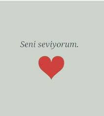 Name Adli Kullanicinin Baligin Sozleri Panosundaki Pin Seni Seviyorum Guzel Soz Ozlu Sozler
