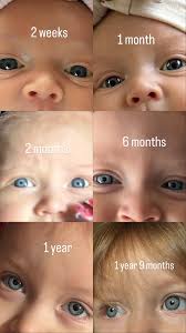 My husbands , myself and our 2 children ….