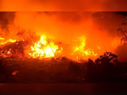 Kolkata Fire Incident: মুহুর্মুহু সিলিন্ডার বিস্ফোরণের আওয়াজ! ভয়াবহ আগুনে  পুড়ছে নারকেলডাঙা বস্তি...| Horrible fire in narkel Danga slum 15 engines  at the place