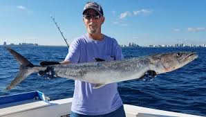 Lauderdale, and typical catches as well. Fort Lauderdale Fishing In February On Blue Safari