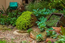 Succulent gardening is a popular trend. Creating A Succulent Rock Garden Eco Balance Landscaping Ballito Garden Services Irrigation Paving