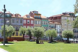 Jardin Des Oliviers Porto Jardin Des Oliviers Jardins Porto