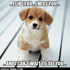 I miss you meme for her. 20 I Like You Memes That Will Make Her Blush Word Porn Quotes Love Quotes Life Quotes Inspirational Quotes