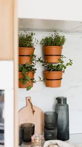 Create your own indoor vertical garden with modular planting systems and hanging planters that are easy and bring a breath of fresh 8 easy ways to create a vertical garden wall inside your home. How To Make An Easy Indoor Herb Wall Garden Fall For Diy