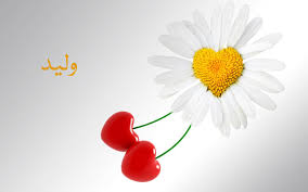 صور اسم وليد صور لاسم وليد صور رومانسية أكتب اسمك على الصور