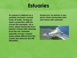 Estuaries Ppt Download