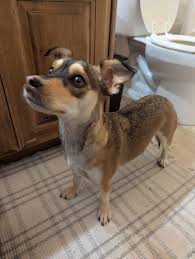 Kimberly, Idaho News & Info