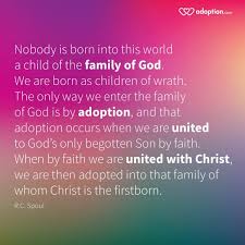 Coralwatch provides the opportunity for passionate people, who care about corals and reef conservation, to learn about coral health monitoring, data collection, reefs health and how to deliver positive messages to inspire and educate audiences about the. 10 Christian Quotes Related To Adoption Adoption Com