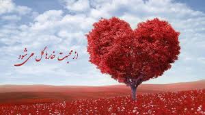 مفهوم ضرب المثل از محبت خارها گل می شود و شعر و داستان آن ستاره