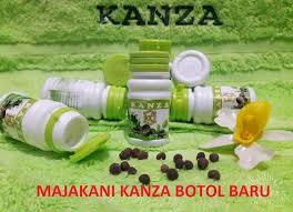 Hasil gambar untuk agen majakani kanza