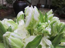 This Or That Do Either Of These Flower Arrangements Say Holiday With Images Flower Arragement Flowers Flower Arrangements