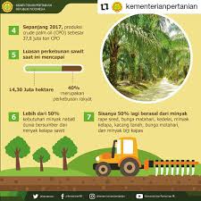 Selain mengawal selia industri sawit negara, mpob turut menyumbang ke arah bidang pendidikan dengan menawarkan biasiswa kepada pelajar yang layak. Begini Wacana Kalimantan Barat Kelola Lanskap Sawit Berkelanjutan Mongabay Co Id