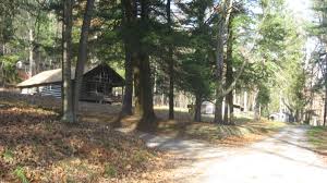 Conquer your kitchen with essential knife skills, cooking techniques and baking tips and tricks. Cook Forest State Park River Cabin District Wikipedia