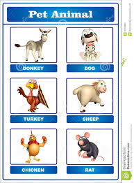 Pet Animal Chart Stock Illustration Illustration Of Comic
