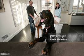 *** and Paula Kopald photographed with Jack, a 0-*** years old ...