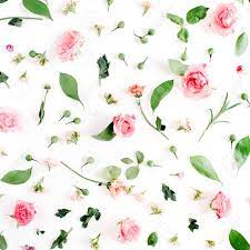 The flowers are very delicate and appear to be hand drawn. Floral Pattern Made Of Pink And Beige Roses Green Leaves Branches Stock Photo Picture And Royalty Free Image Image 69223075