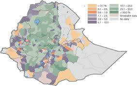 Image result for Eragrostis aethiopica