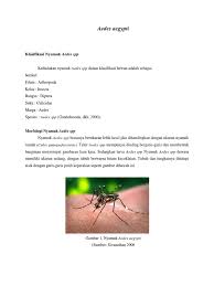 Perbedaan jentik nyamuk aedes aegypti (a) dan aedes albopictus (b) ciri khas pada nyamuk dewasa aedes aegypti dan aedes albopictus terlihat pada gambar 3. Aedes Aegypti